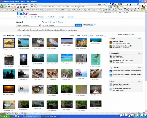 Creation of Big Fish In Paradise: Step 1